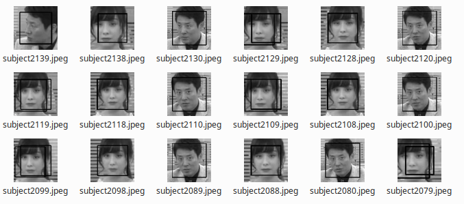 FaceCrop によって取得された顔画像