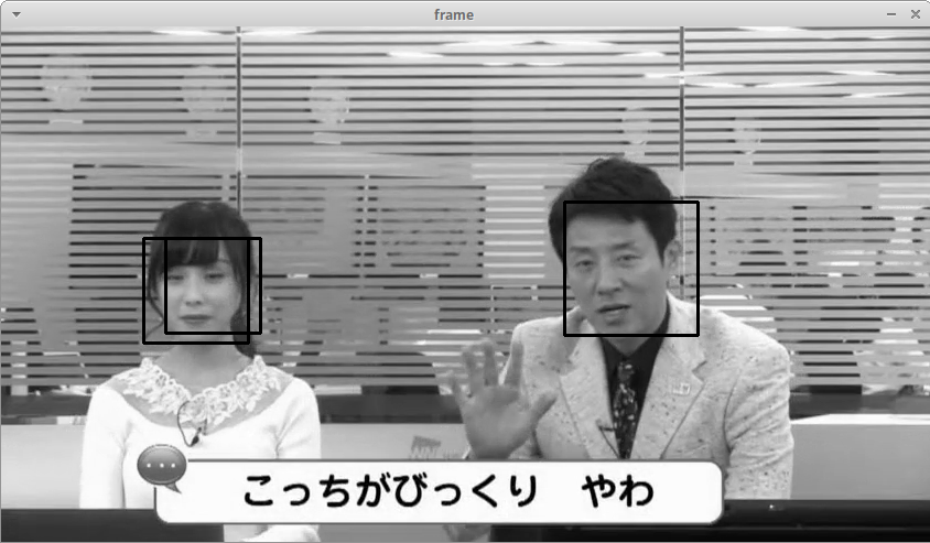 FaceCrop による顔画像取得の様子