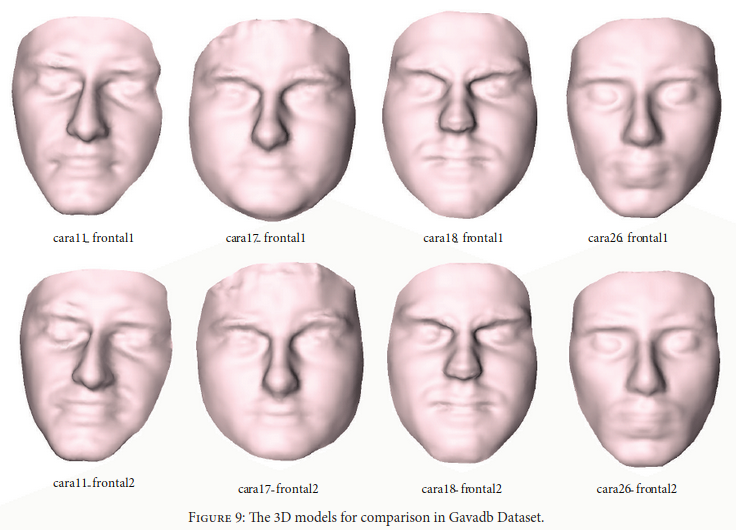 https://www.researchgate.net/publication/287342070_3D_Facial_Similarity_Measure_Based_on_Geodesic_Network_and_Curvatures
より引用