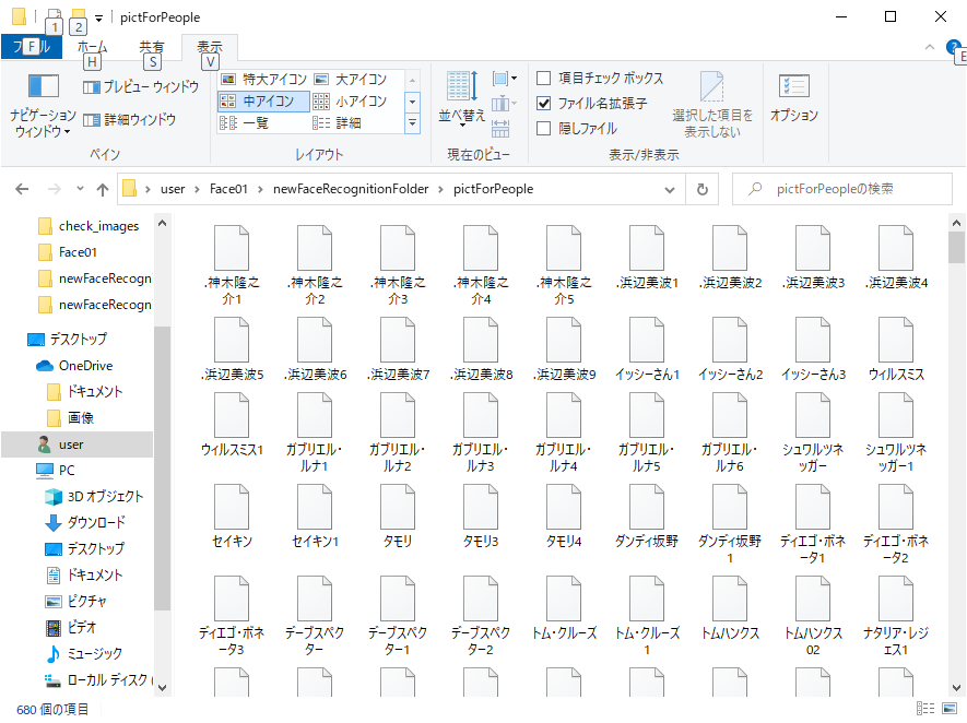 pictForPeople フォルダのなかみ