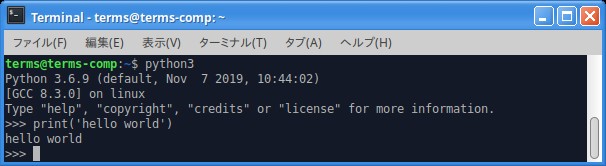 Python3 を起動した仮想端末