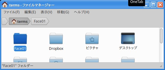 Face01 フォルダ