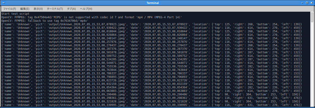 terminal に表示される様子