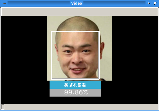 芸能人 40 人を Face01_Graphics 1.1.7 で顔認証処理させた例