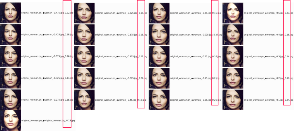各補正処理後の顔画像ファイルと Face distance ( 赤枠 )
